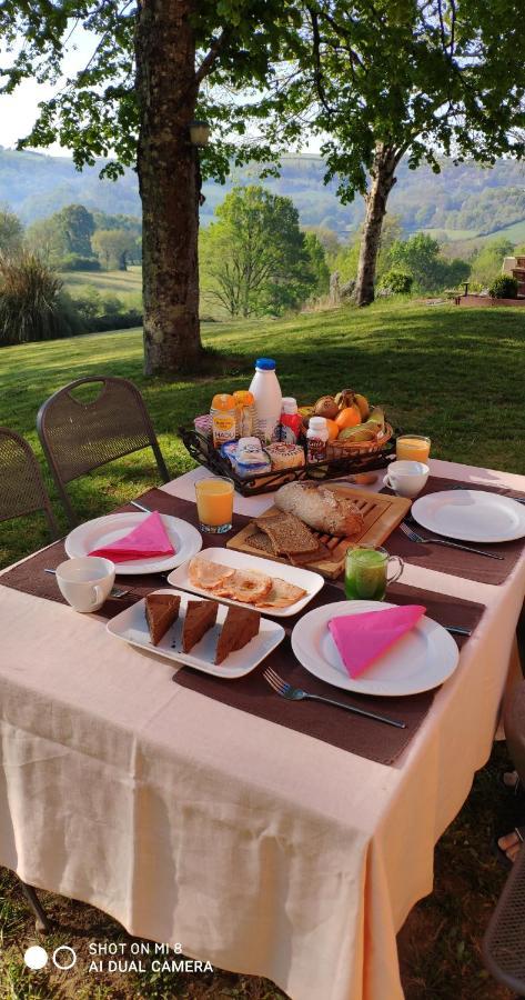 Domaine Les Causeries Laguépie 外观 照片